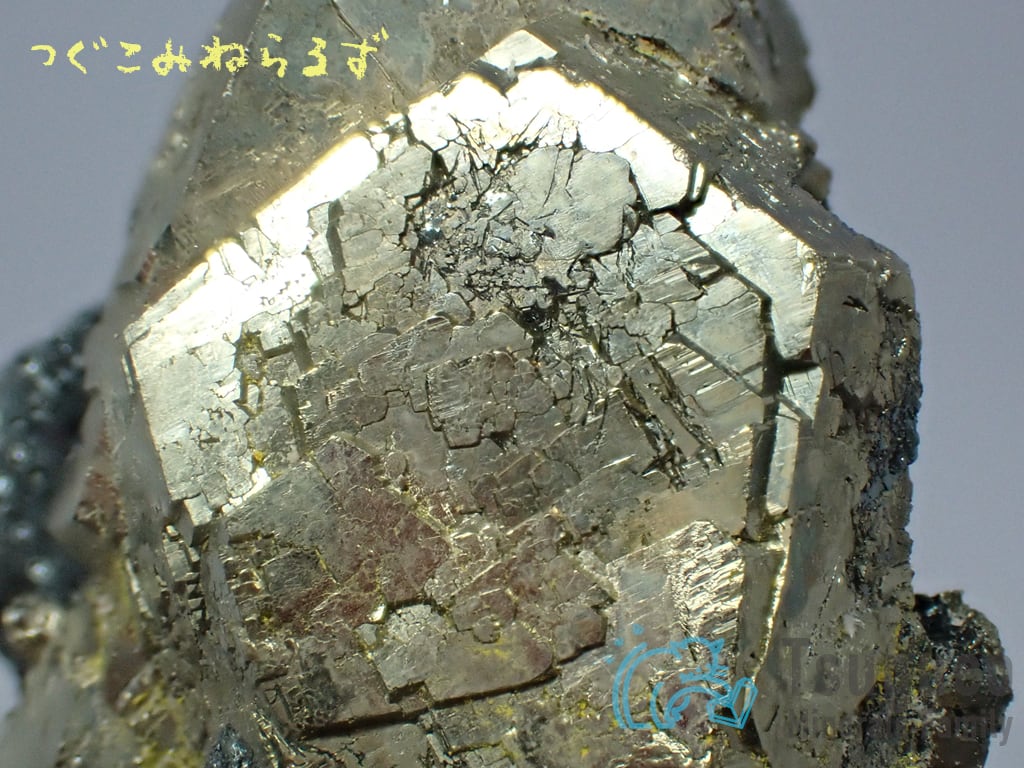 パイライト 黄鉄鉱 Pyrite イタリア TM-0042