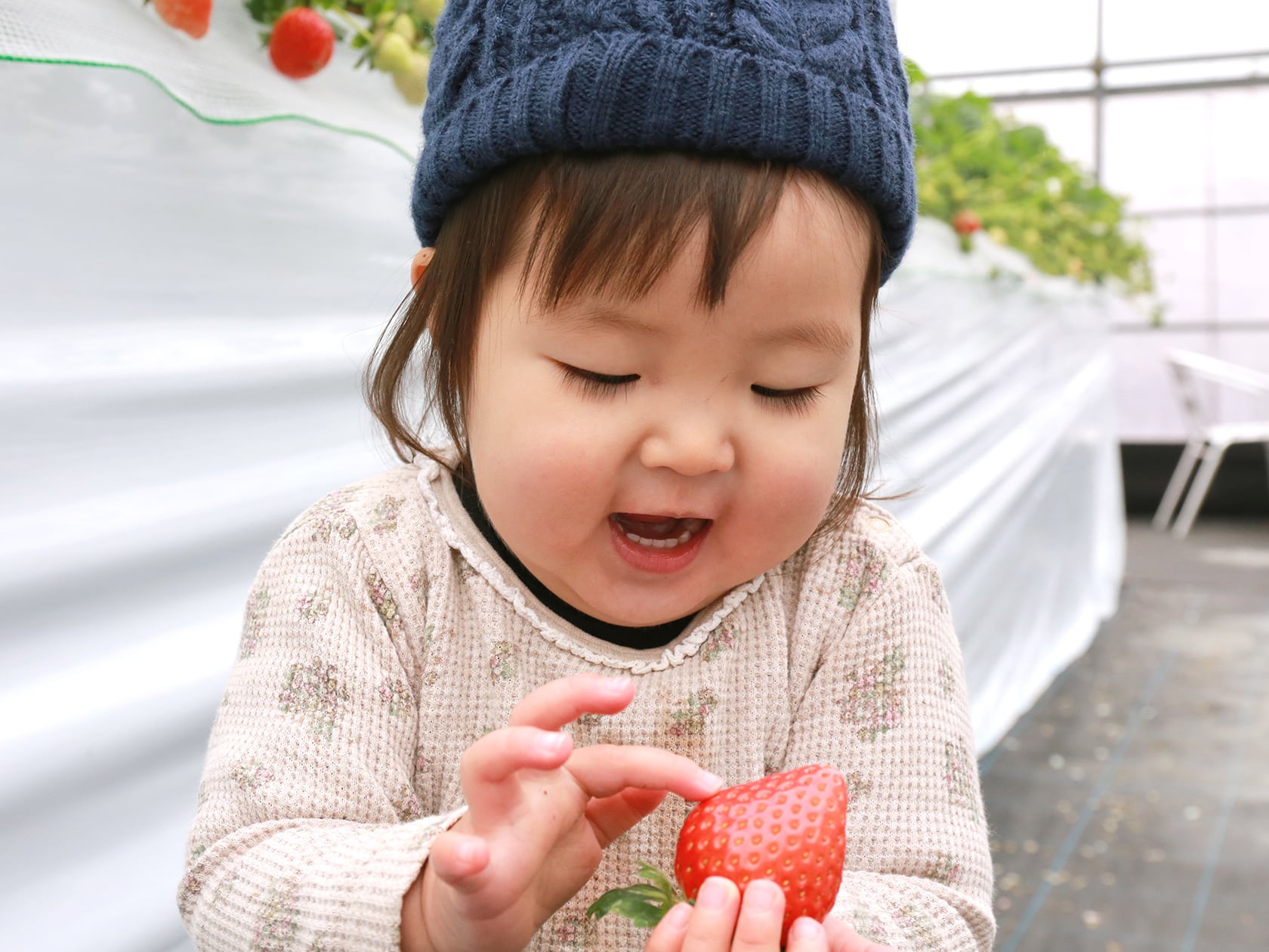 白いちご 淡雪×旬のいちご 詰め合わせ