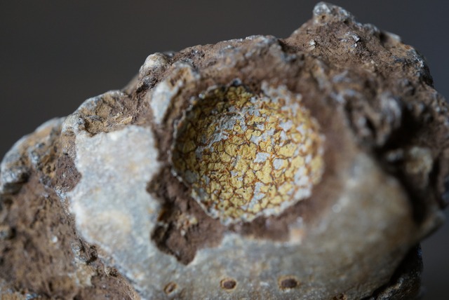 ゴビアゲート Gobi Agate 1128