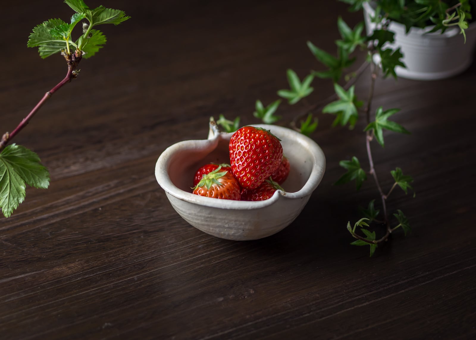 鉄散 りんご鉢 豆（信楽焼・小鉢・豆鉢）／古谷 浩一