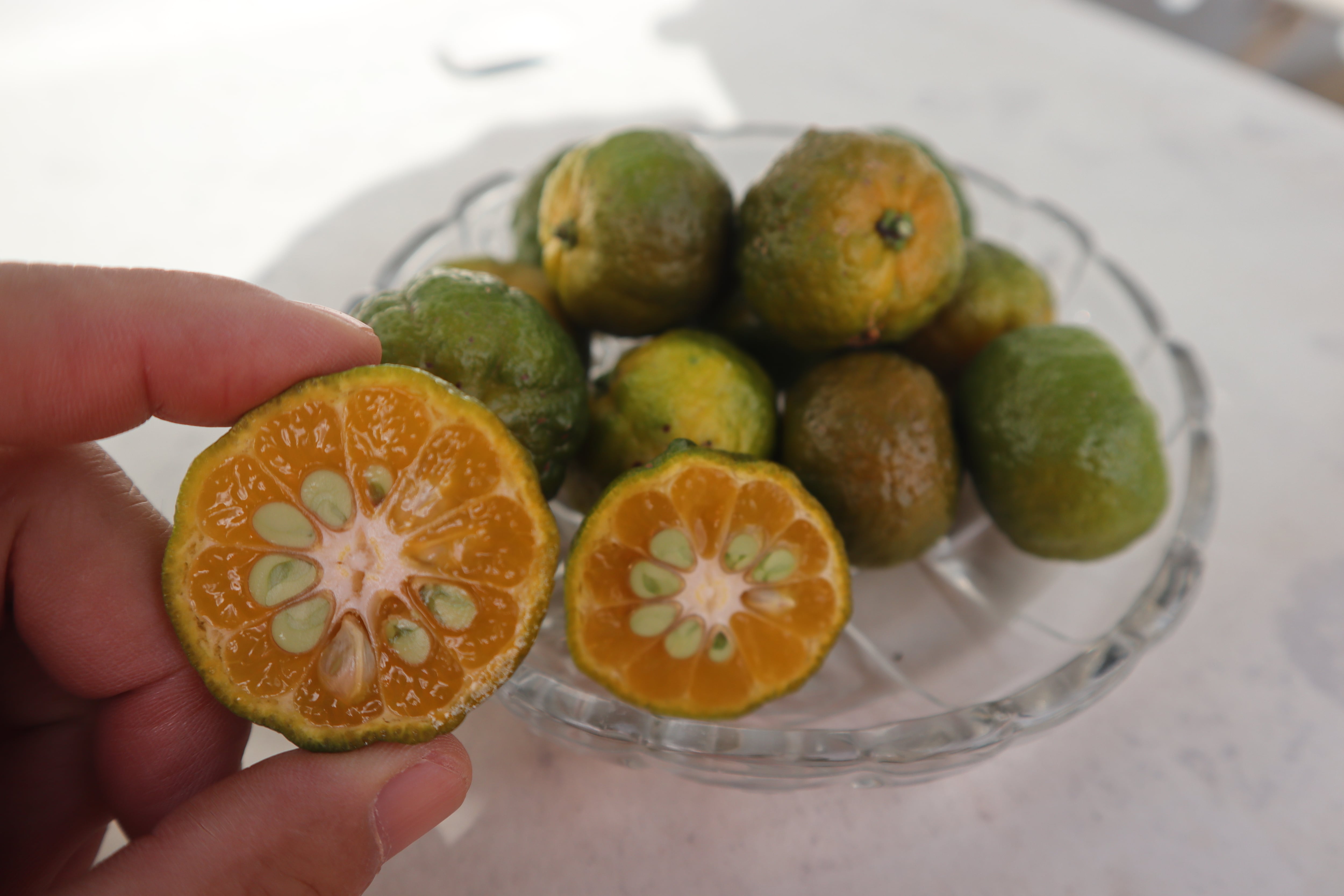 ようさんの奥嶽シークワーサー青果 250gx3袋 | Kabosu Company