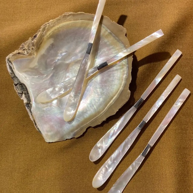 白蝶貝　茶杓　SH012