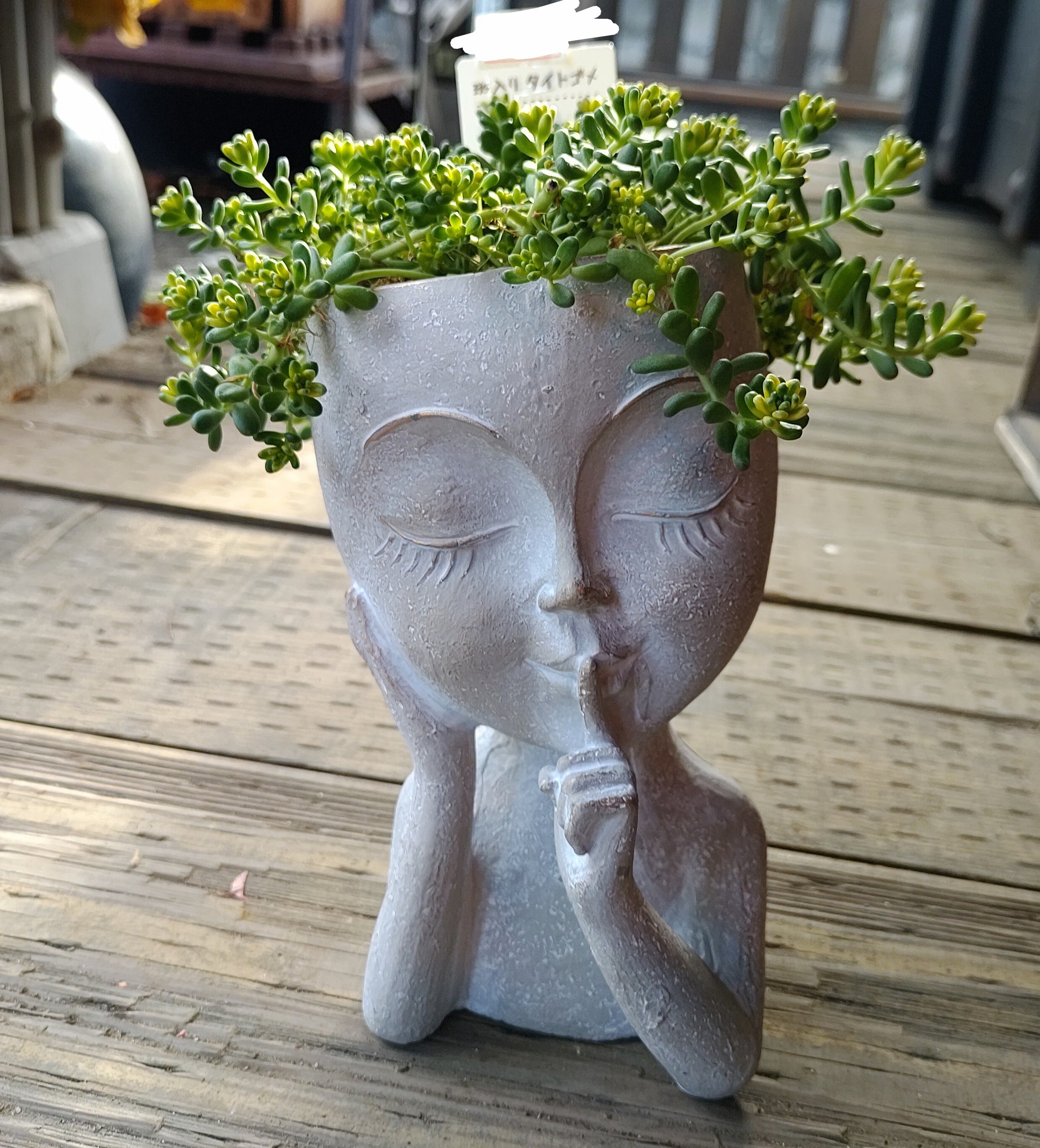 植木鉢 | RuPo 多肉植物専門店