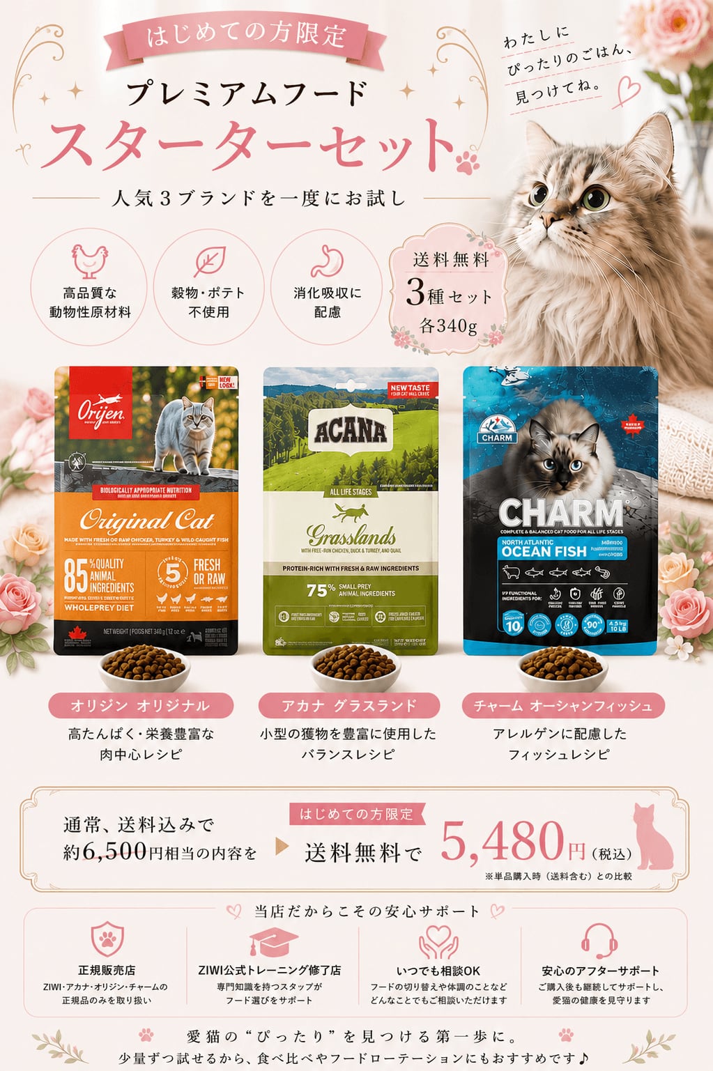 【初回限定・送料無料】プレミアムキャットフード スターターセット|オリジン・アカナ・チャーム 各340g 食べ比べ