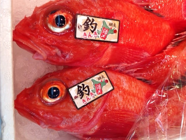 生 キンキ 大サイズ 約500-600g （豊洲直送）北海道網走/知床産 きんき