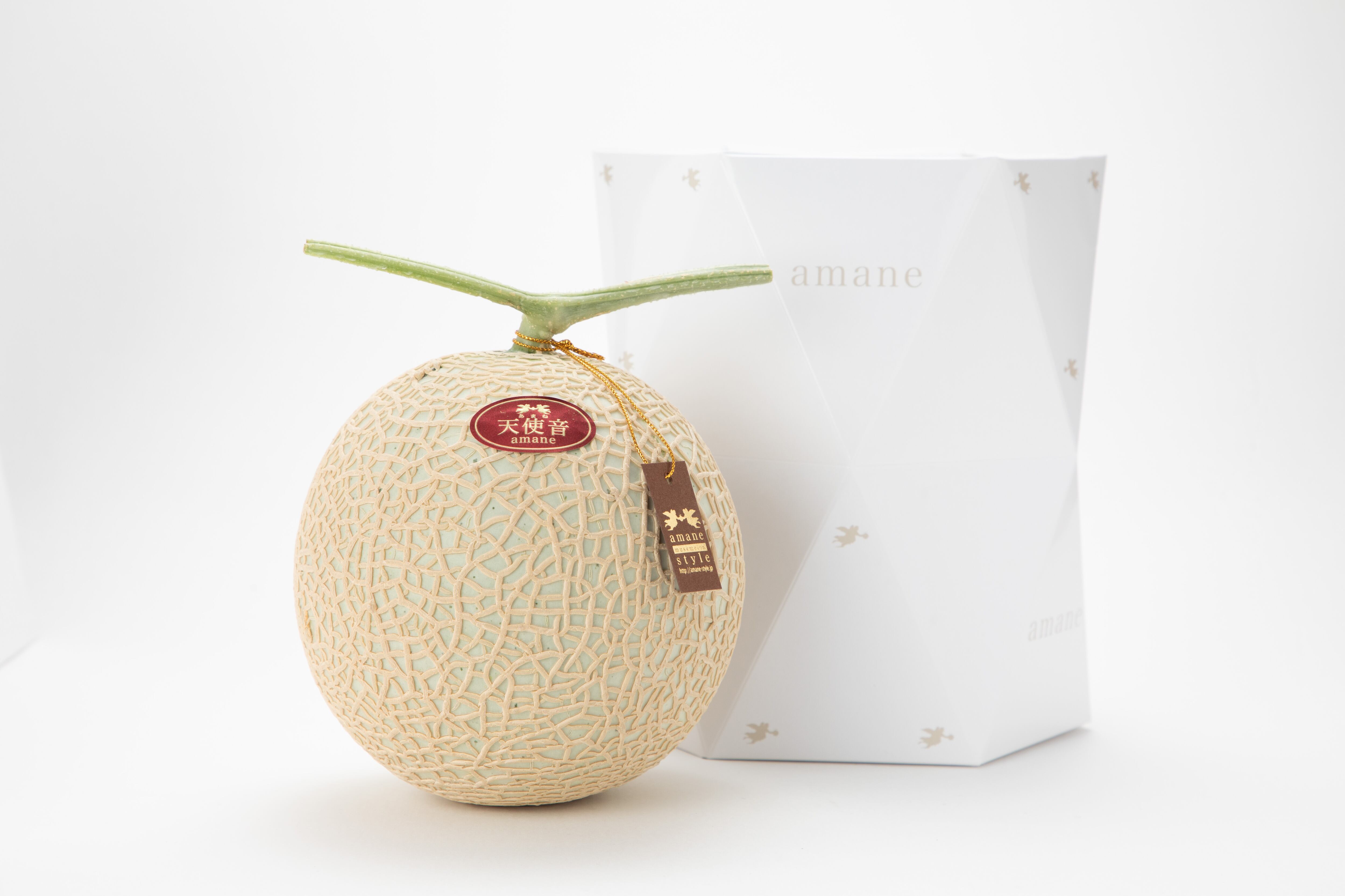 2022SUMMER/AUTUMN新作 ⑤ minami5512719さま専用 - 通販