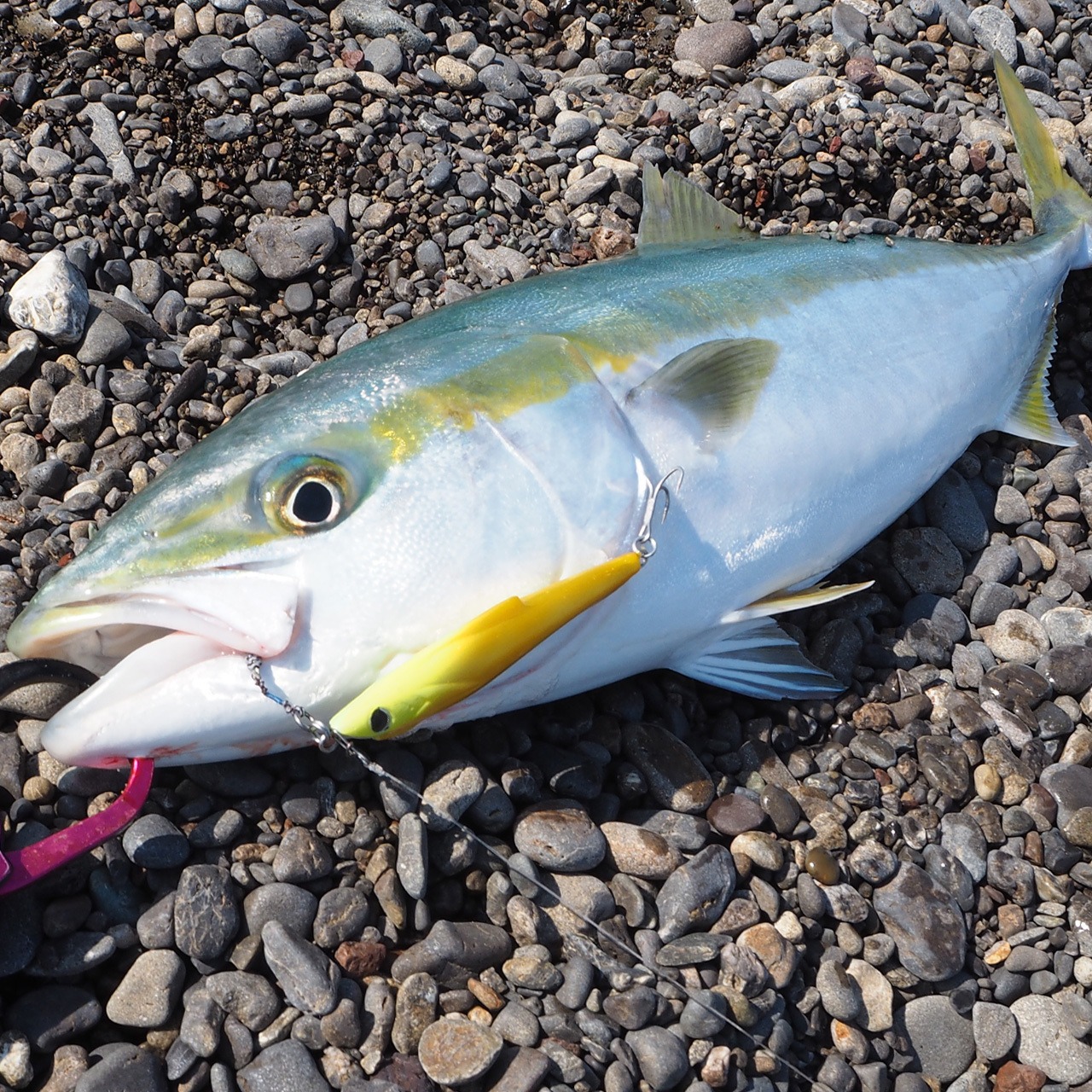 Louchi 92 basic color