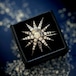 北極星のブローチ