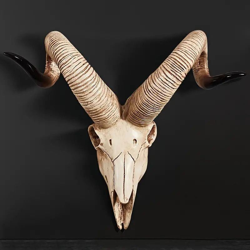 スカル 頭蓋骨 動物 置物 恐竜 ワニの頭骨 実物大 置物 動物 スカル 鰐 骸骨 わに 化石 骨 標本