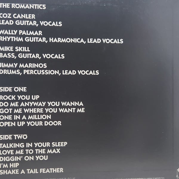 The Romantics / In Heat [25AP 2738] - 画像2