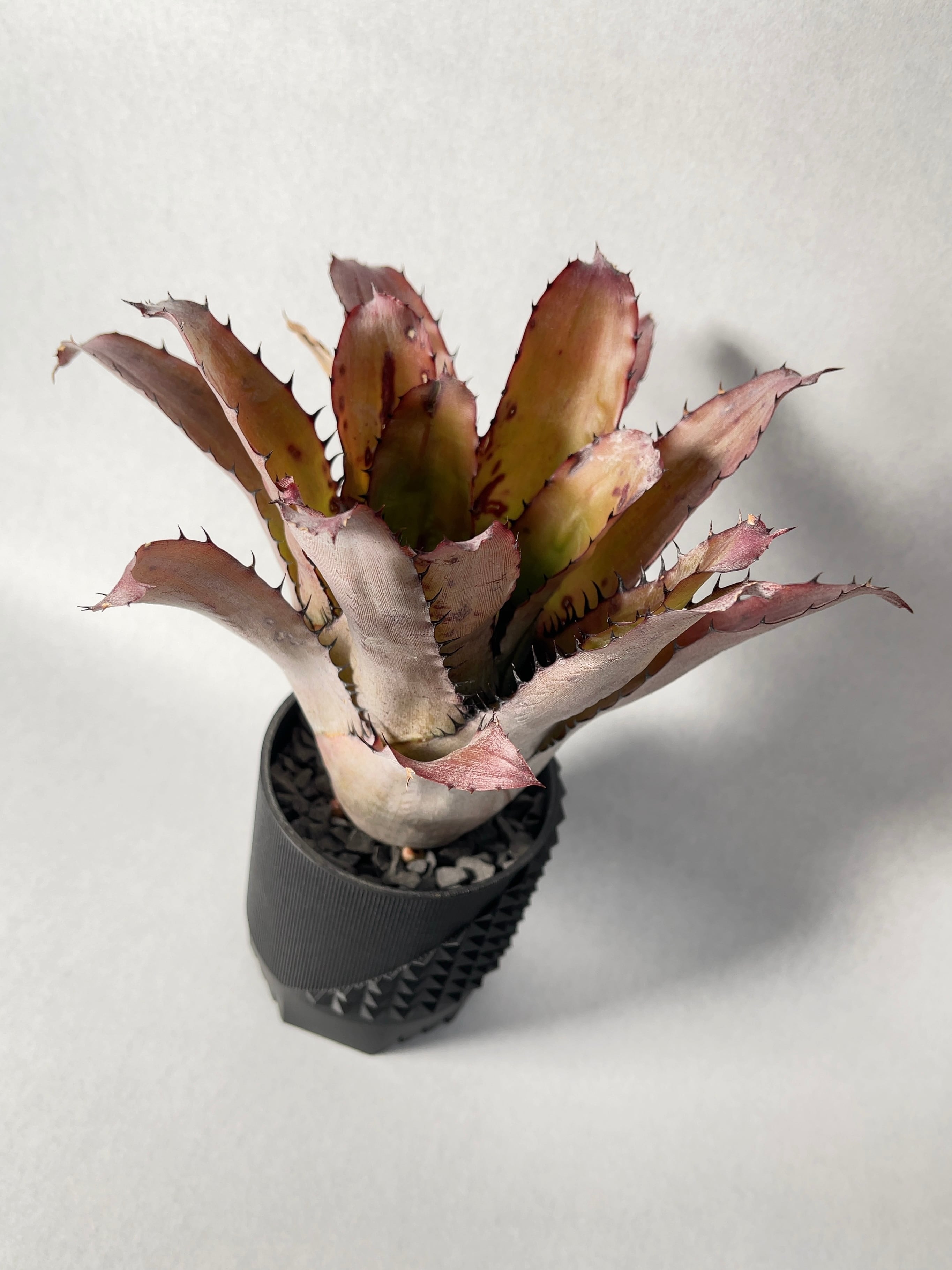 27d36537487e509f751eb6cfa1b75f