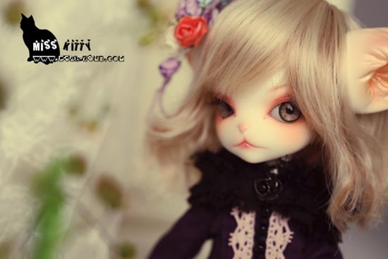 国内正規□ MissKitty DOLLZONEフルセット - crumiller.com
