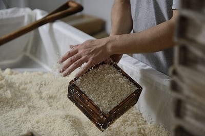 1番人気】生糀半枚×3個【冷蔵便】 | 若宮糀屋