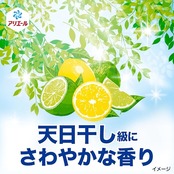 アリエール 洗濯洗剤 液体 超抗菌プレミアム 部屋干し超消臭 天日干し級にさわやかな香り 詰め替え 625g