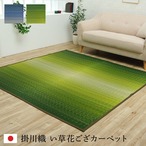 花ござ 大自然 江戸間3畳 ウミ 174X261 174×261cm ラグマット カーペット ラグ