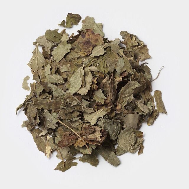 シングルハーブ レモンバーム(レギュラー20g)