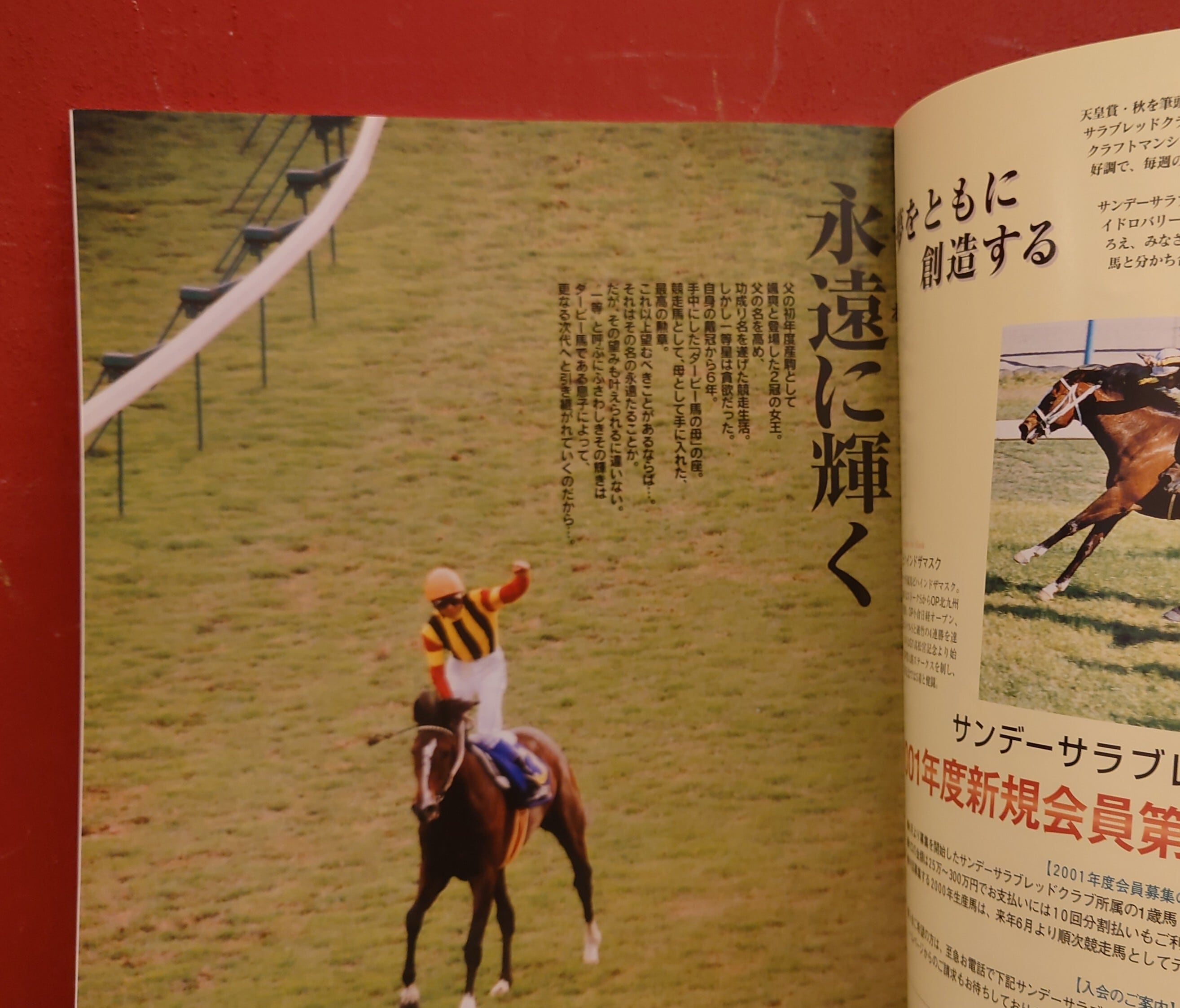 週刊100名馬 33 ベガ(Gallop 臨時増刊) | Pay ID 週刊100名馬 33 ベガ(Gallop 臨時増刊) | Pay ID