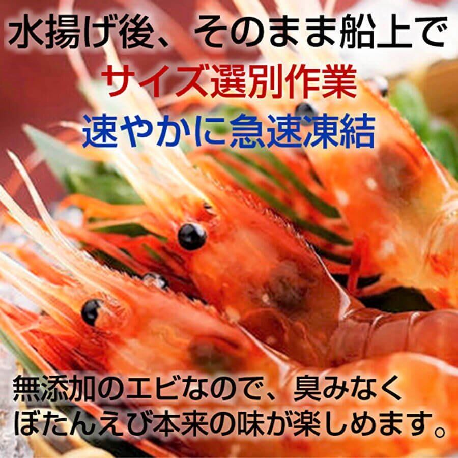 お刺身用 ボタンエビ500グラム 1パック18尾前後 北海道めし