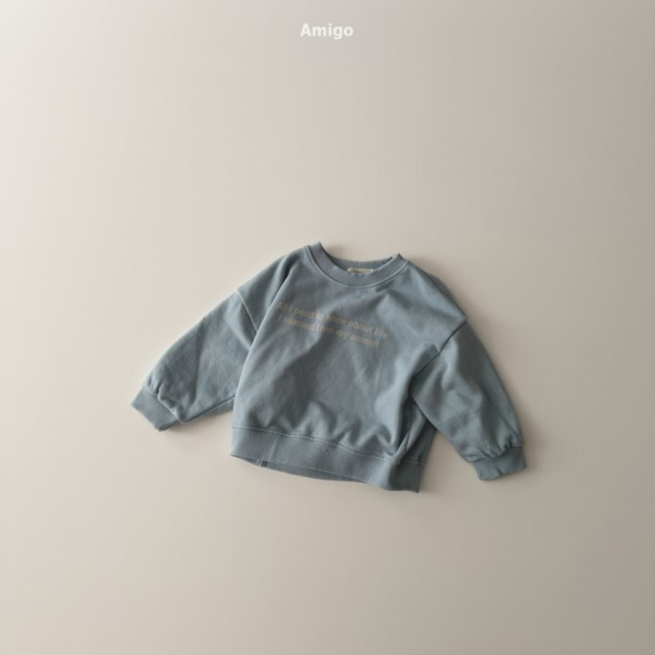 Amigo 26/SS フレンチトレーナー