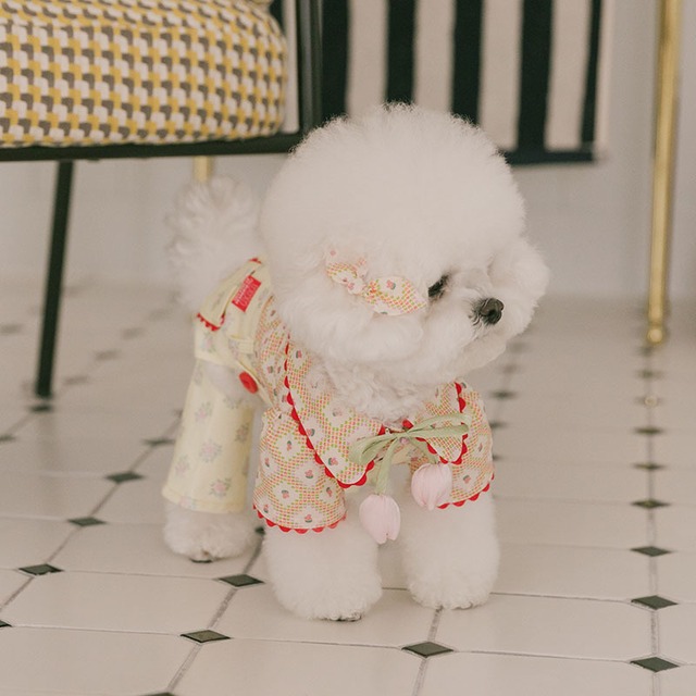 〈即納アイテム〉Rolling PEPE パステルシュシュ オーバーパンツ（イエロー）