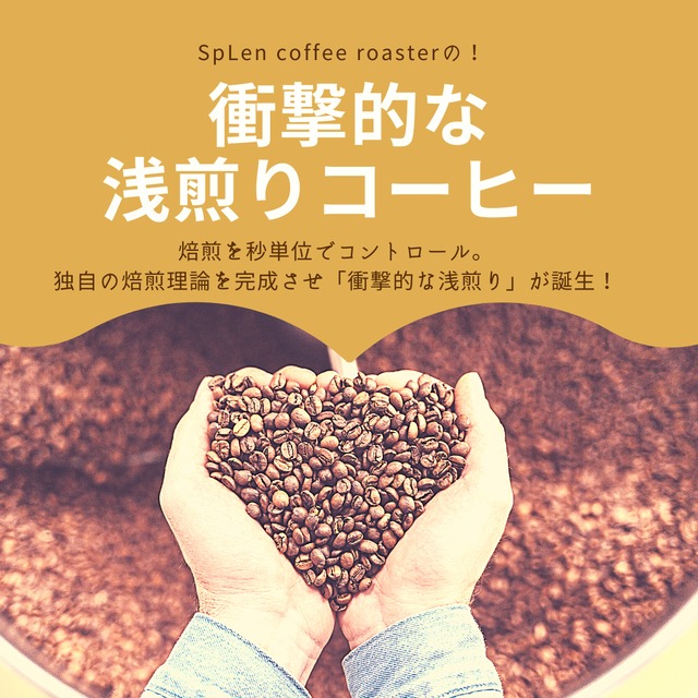 浅煎りコーヒー好きのあなたへ【Relight's Set】浅煎りコーヒー豆2種類（エチオピア＆グアテマラ）