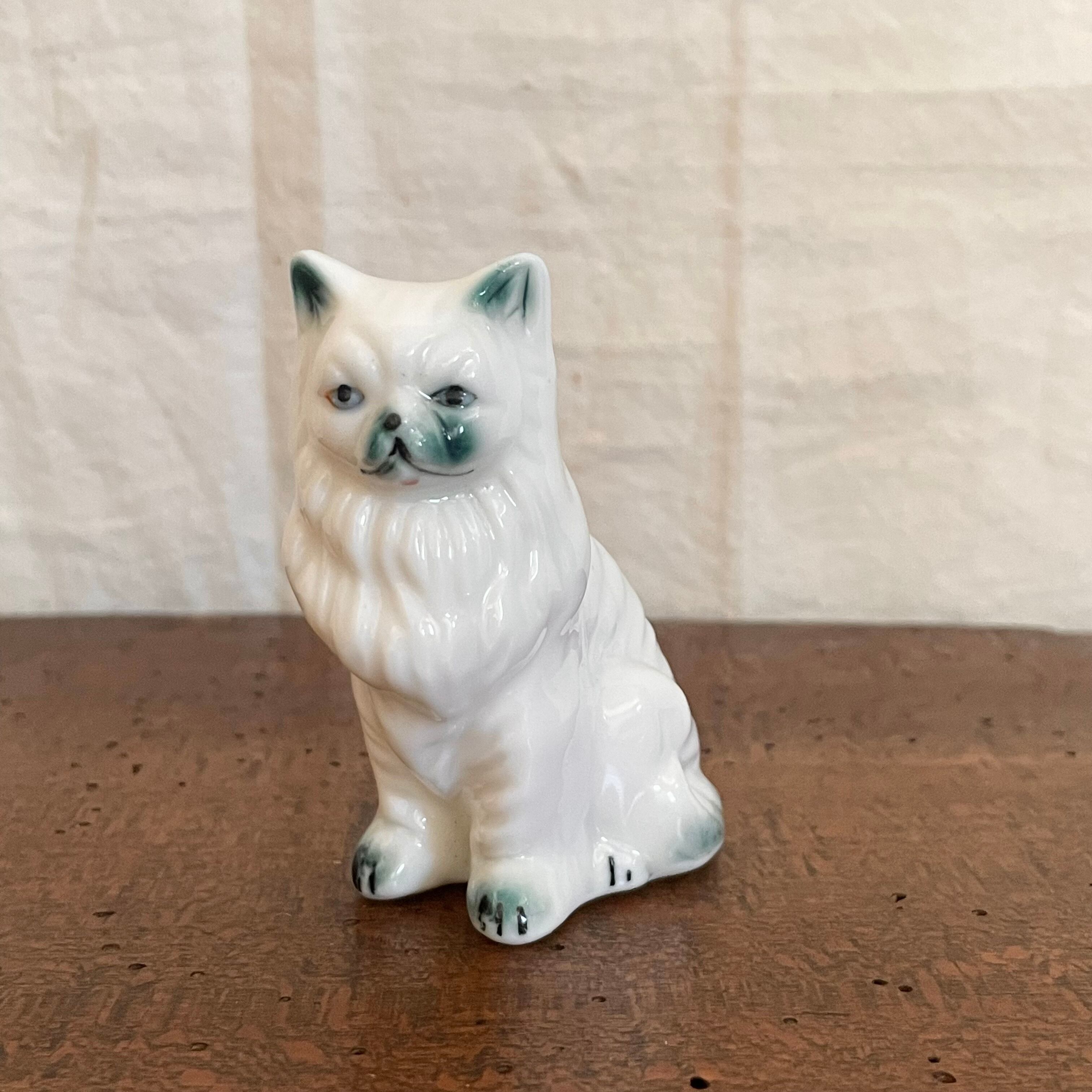 毛並みのいい白ネコ