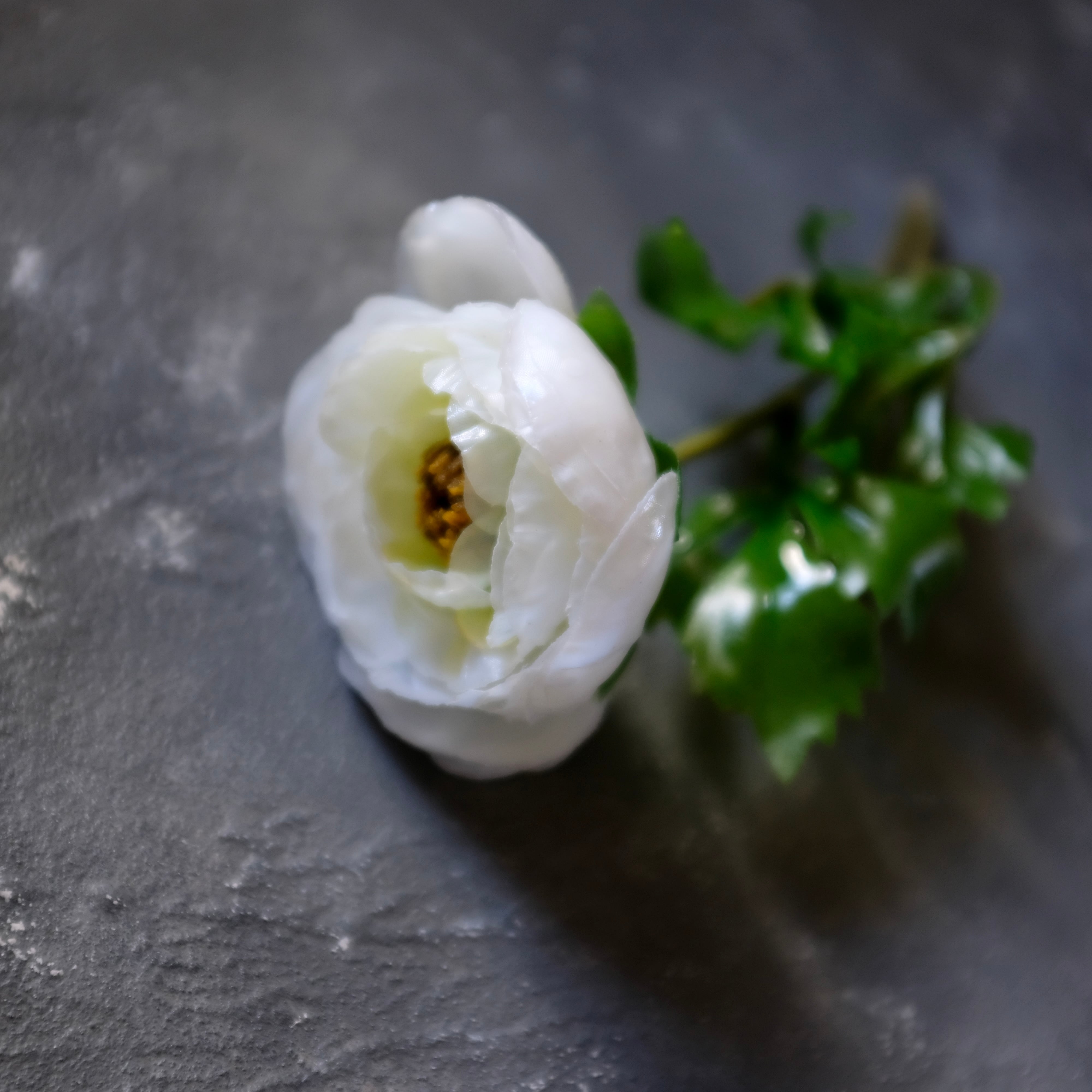 tsuyabana ラナンキュラス ホワイト | KieKa