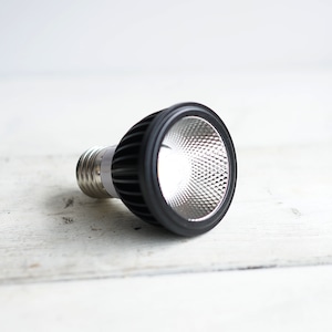 LEDライト 小型AS型 10W 昼白色 ブラック