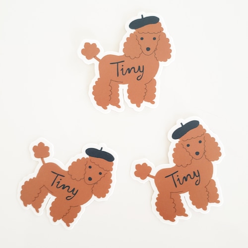 TINY COTTONS -  Sticker (POODLE)