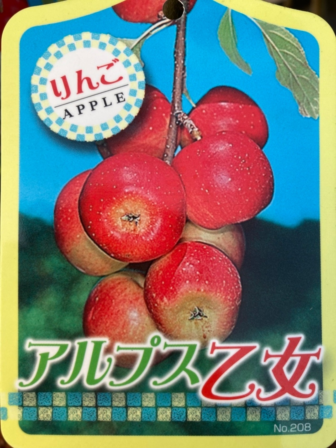 27e900262f5a2c04531323d80ff07e 