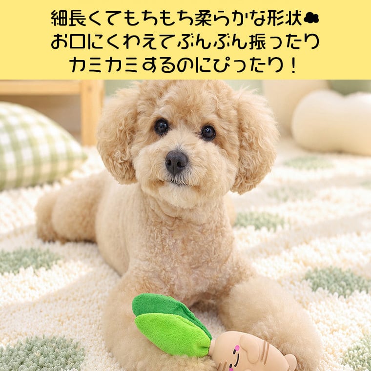 A+ginseng latex toy 2color /  ペット 犬 おもちゃ 噛む 音が鳴る 知育玩具 鳴き笛入り 可愛い わんちゃん おもちゃ ラテックス トイ ストレス解消 韓国 ペット用品