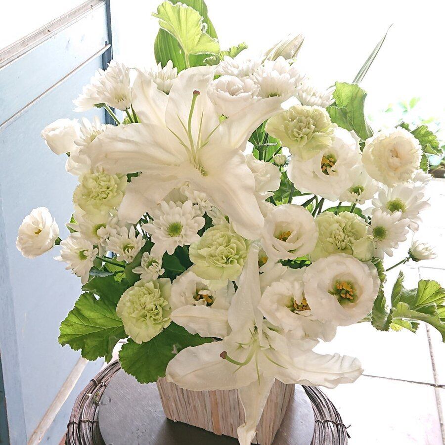 花 お供え アレンジメント 白緑 Mサイズ お悔やみ 花 仏花 法事 お供え物 四十九日 法要 命日 一周忌 贈り物 生花 Maison Fleurie Base店 花 お供え アレンジメント 白緑 Mサイズ お悔やみ 花 仏花 法事 お供え物 四十九日 法要 命日 一周忌 贈り物 生花 Maison Fleurie Base店