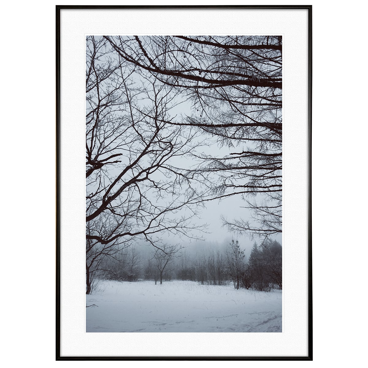 冬写真 森林の雪景色インテリアアートポスター額装 AS1098