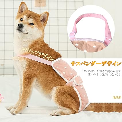 サエコさん様専用 ネルソンズ ドッグフード 未開封新品 3袋 サエコさん様専用 ネルソンズ ドッグフード 未開封新品 3袋