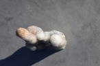 カルセドニー 「シックな煌めき」| Chalcedony  ◇ 天然石・鉱物・パワーストーン・原石 | st00055
