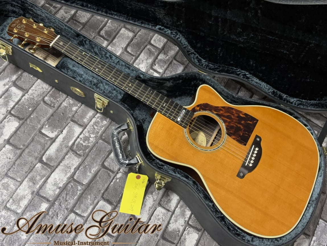 Shelly SYM-CR 2019年製【Master Class / K.Yairi Made!!】w/Original