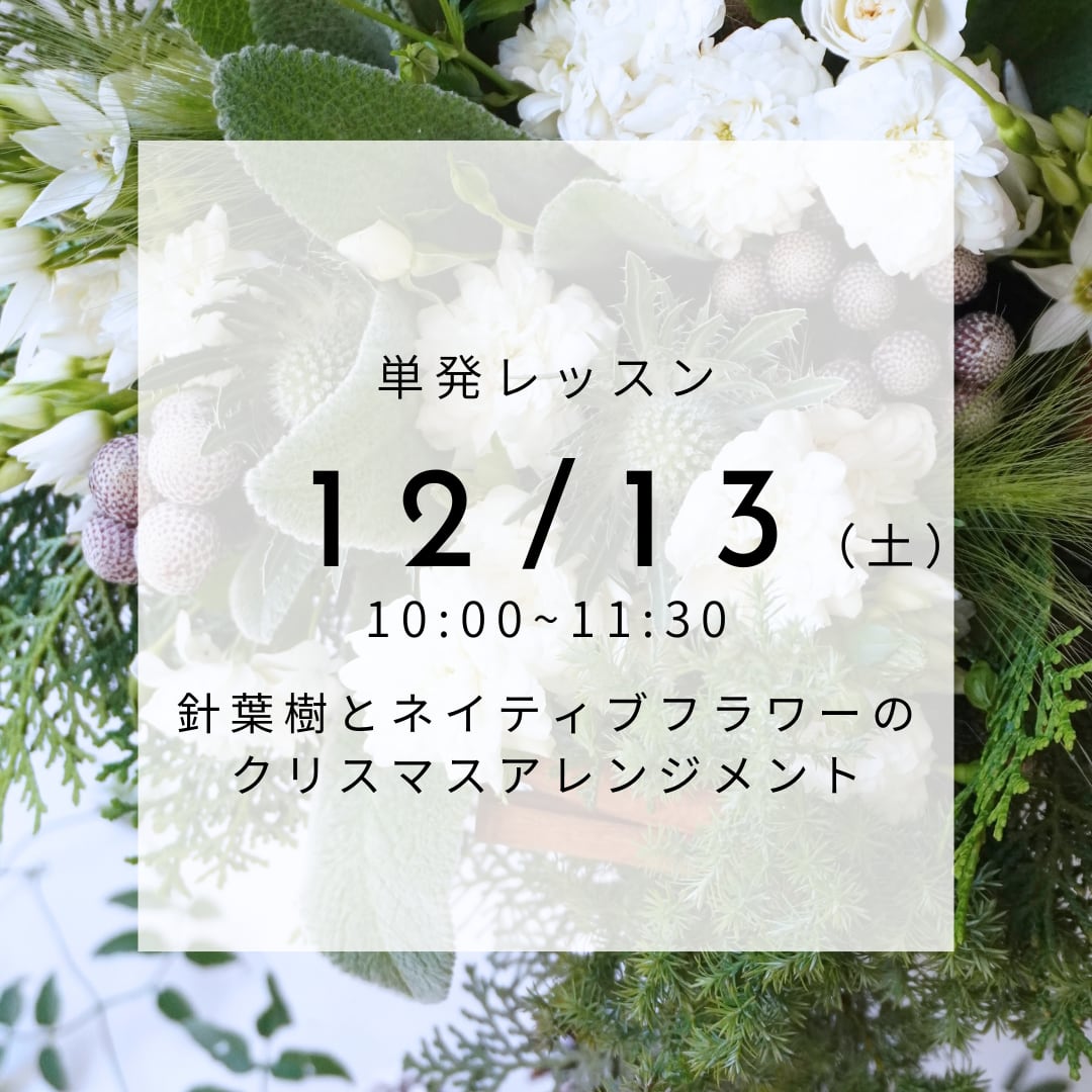 【12/13(土)】単発レッスン