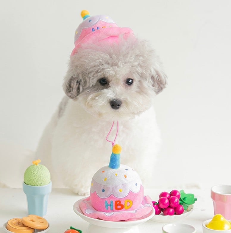 即納【BITEME】HBD party cake hat Toy