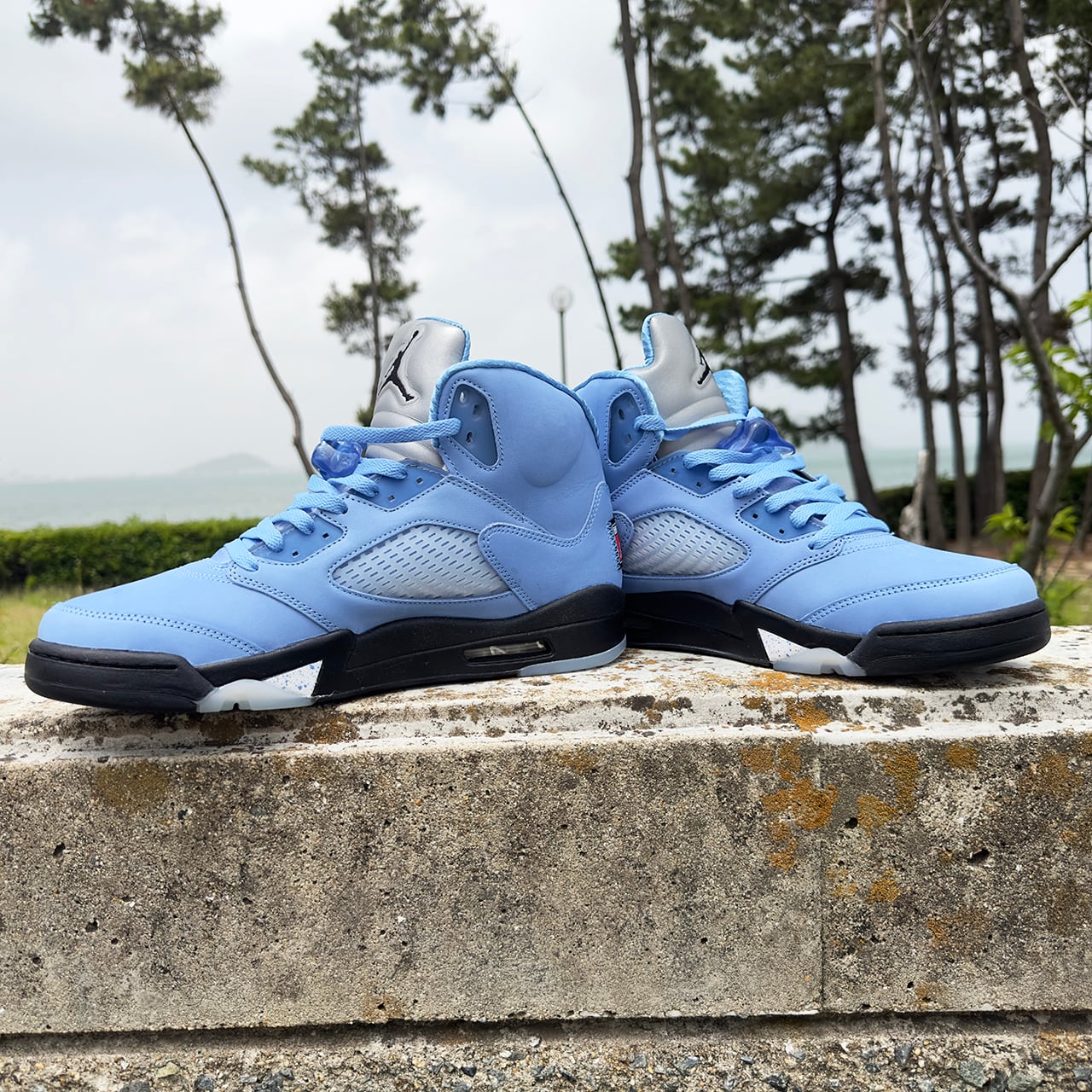 NIKE AIR JORDAN 5 RETRO -Racer Blue-