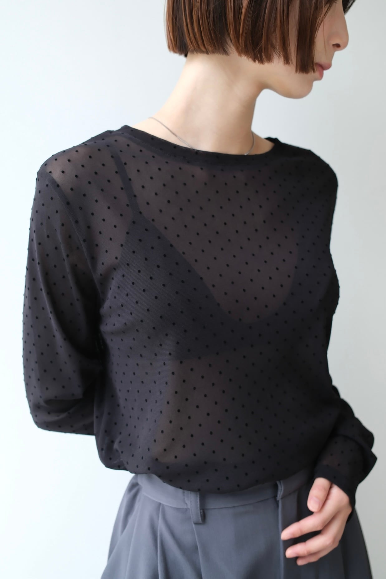 Crew Neck Flocky Dot Print Sheer Tops クルーネックフロッキードットシアートップス Black