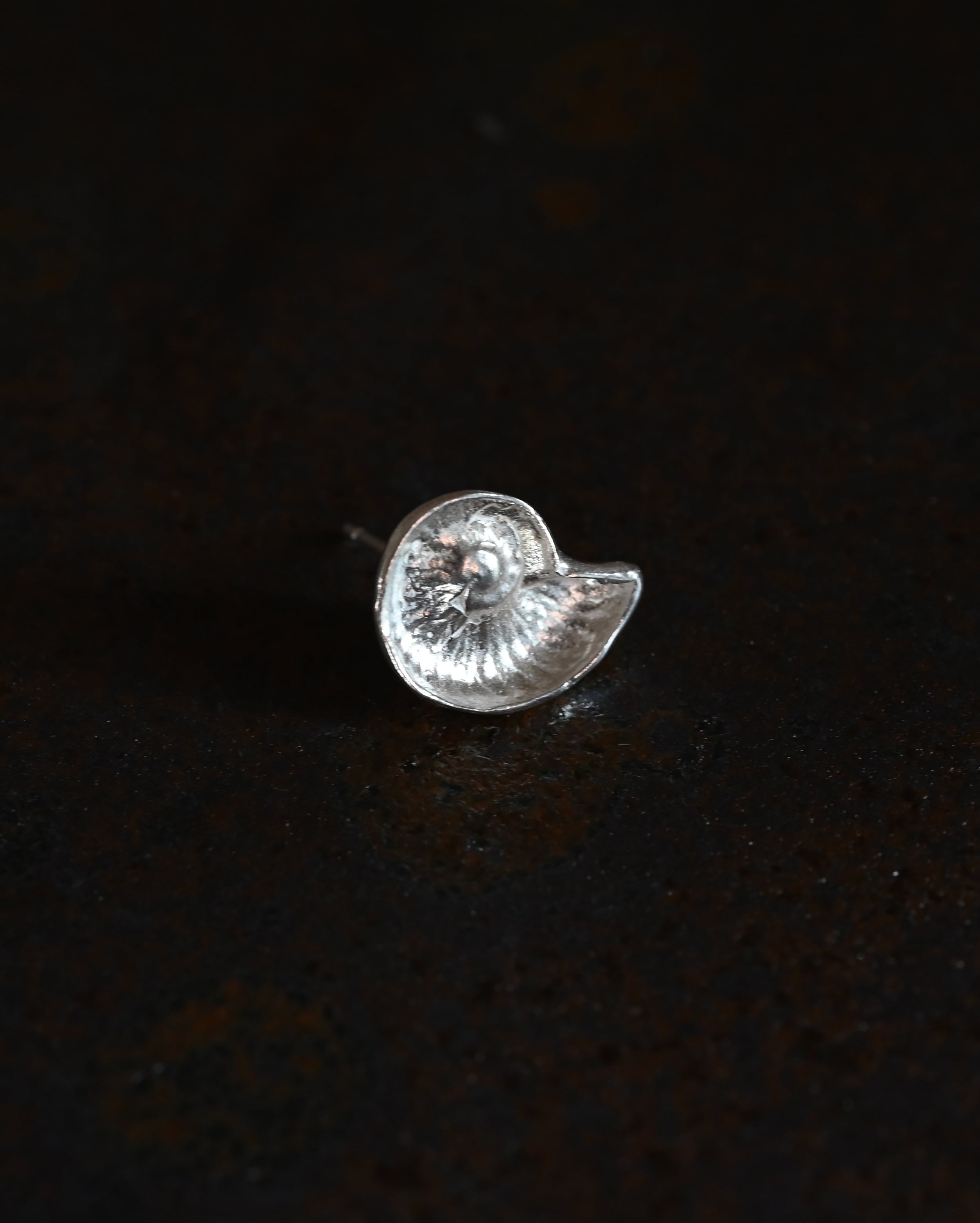 Ammonite / Pierce - Silver925