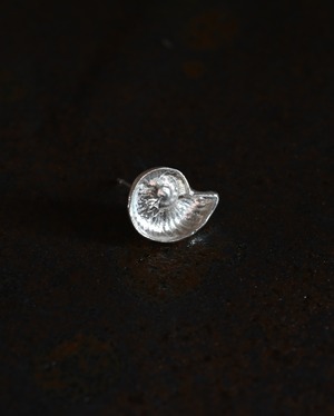 Ammonite / Pierce - Silver925