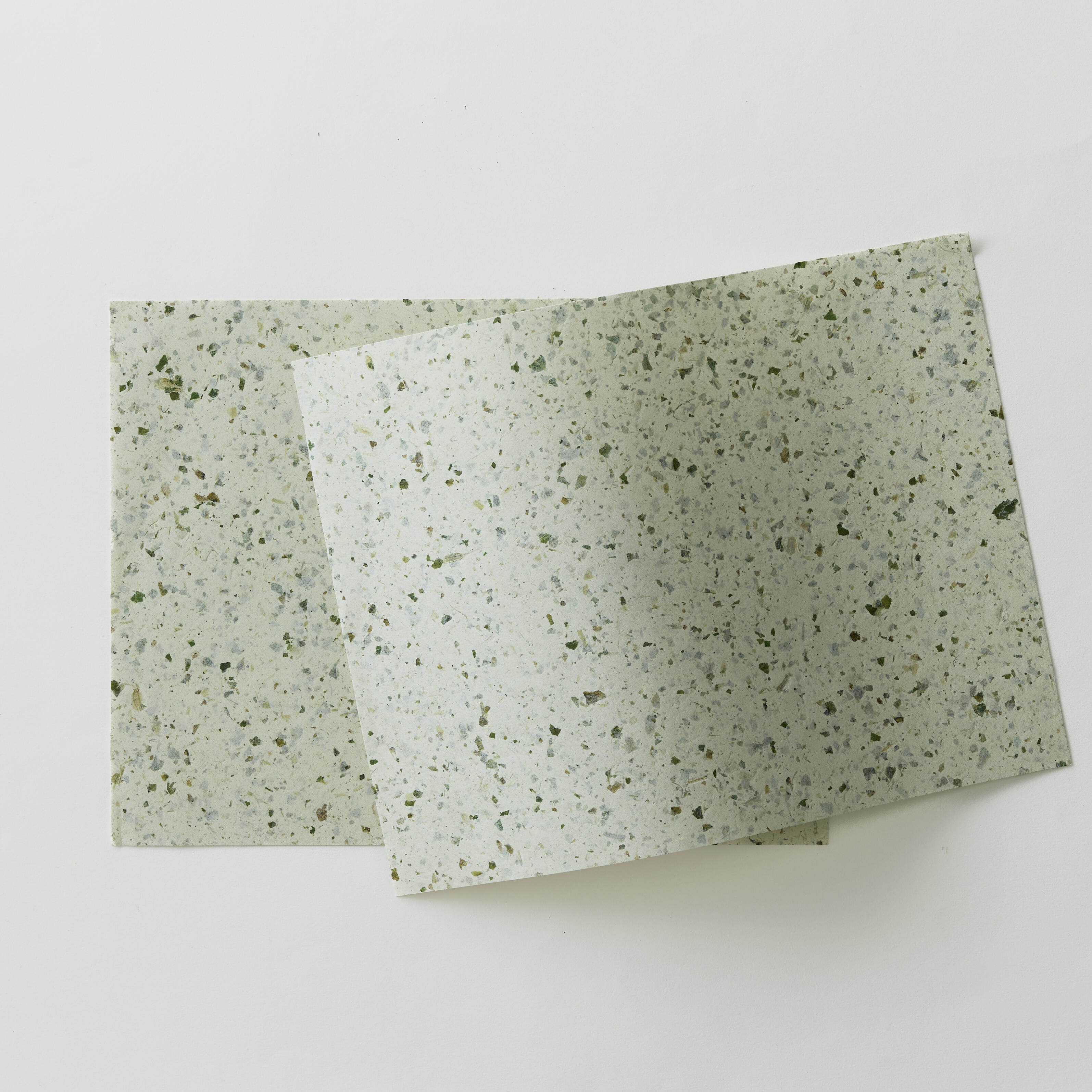 PP101 WASHI WRAPPING PAPER SET 003 NATURAL | WACCA ONLINE SHOP