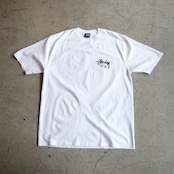 STUSSY TOKYO Tシャツ