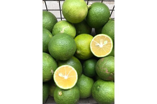 【香酸柑橘始まります】カボス・1kg(9/18発送開始)