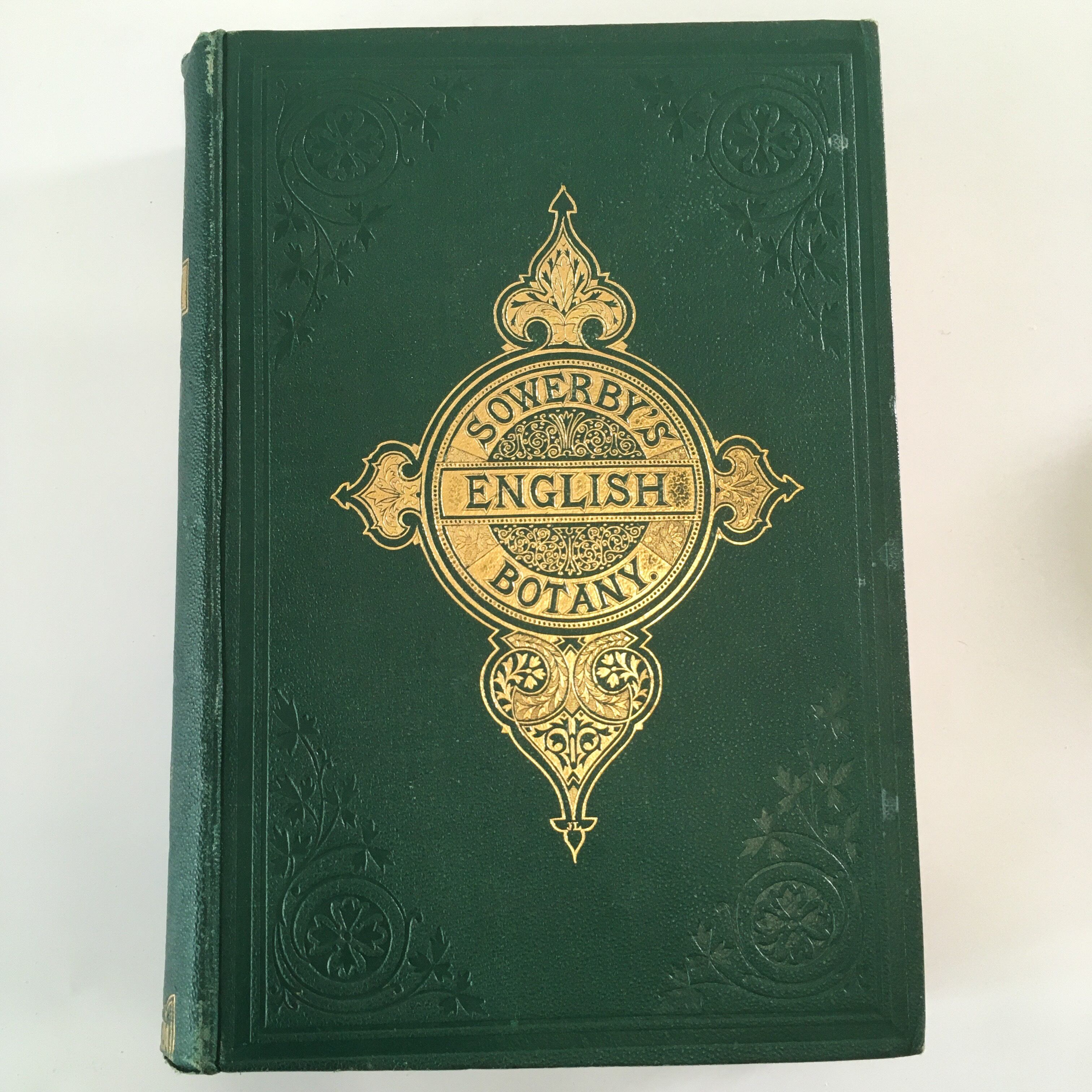 植物図鑑 植物画 Sowerby English Botany イギリス 英国 植物図鑑 Vol 9 1869年 銅版画手彩色 カラープレート160枚 ボタニカルアート 博物画 欧州アンティーク雑貨 べるりんのーと
