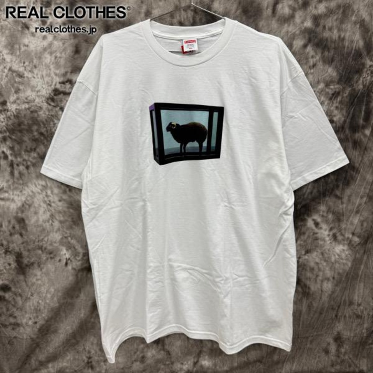 Supreme/シュプリーム【25SS】Damien Hirst Tee/ダミアン ハースト 