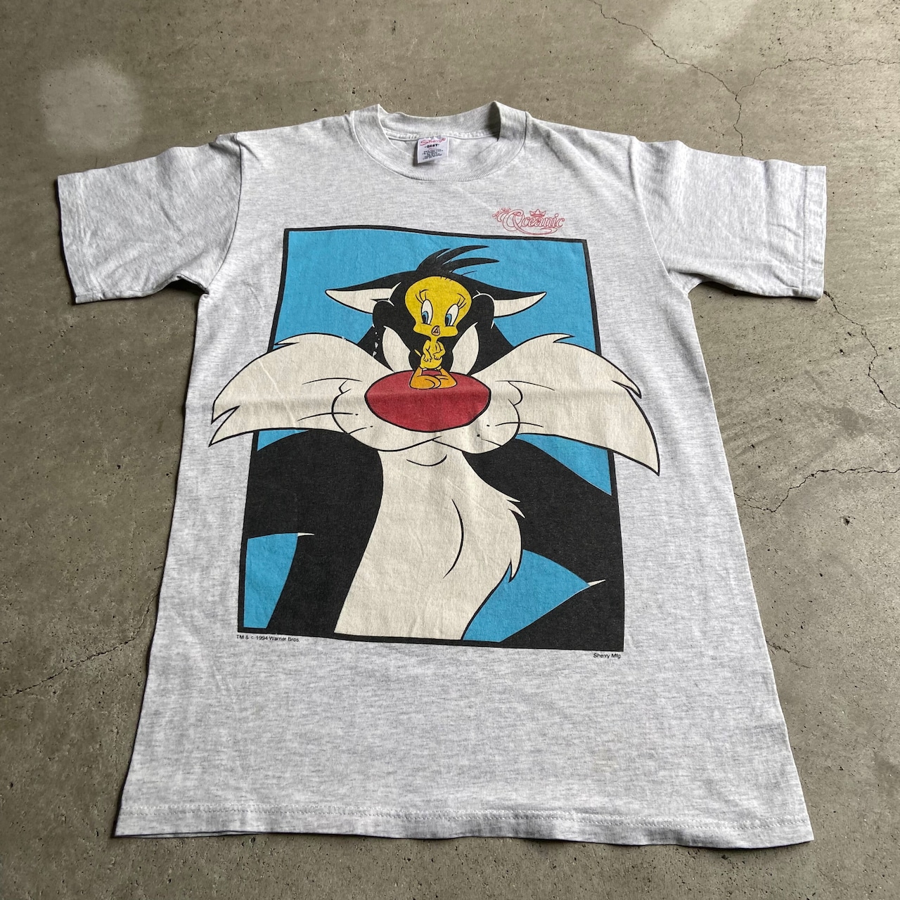 USA製 90年代 Looney Tunes ルーニーテューンズ トゥイーティー 