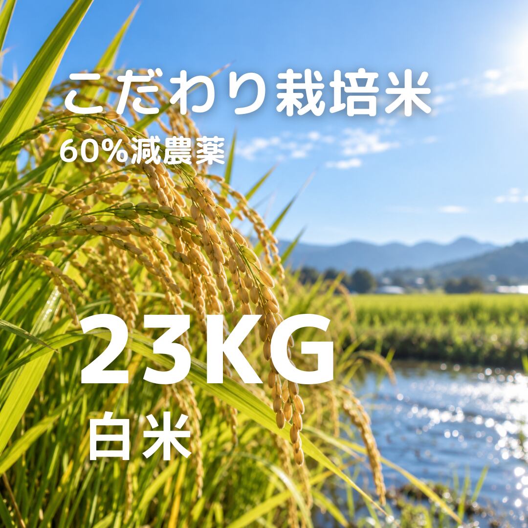 R8年産 冷めても美味しい こだわり栽培米 白米 23kg