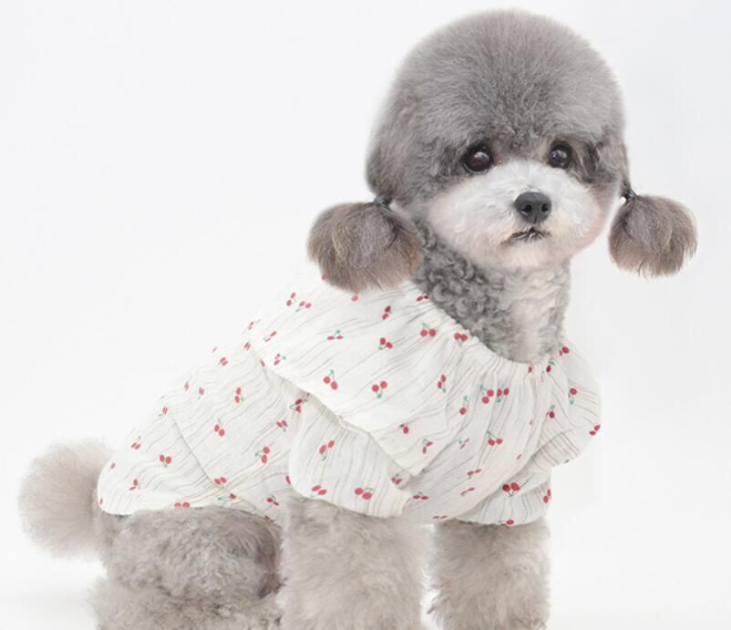 《予約》3101337 ちびチェリーブラウス